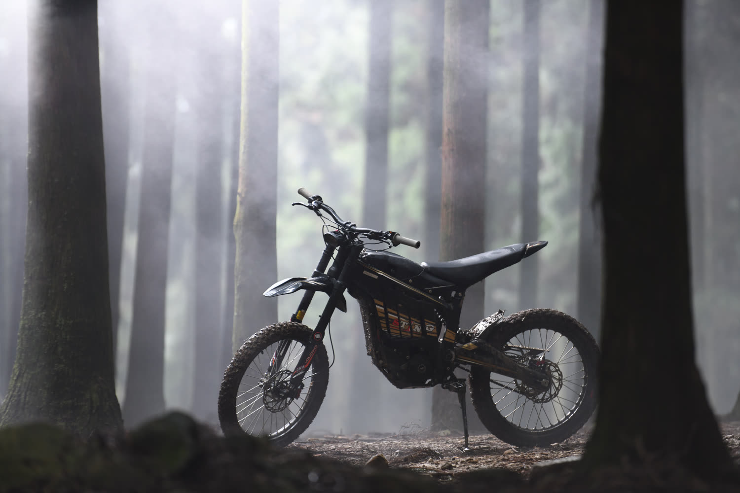 A Talaria Sting parked among tall trees in a misty forest